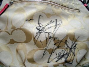 COACHバッグ　マジックのシミ　染み抜き前